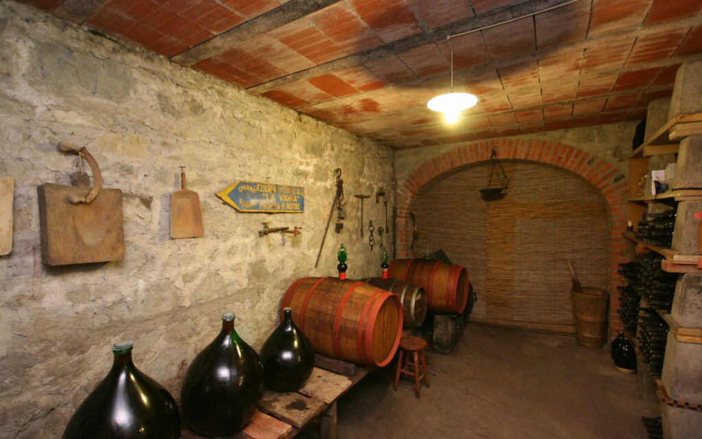 Villa Lo Scoiattolo: Attività