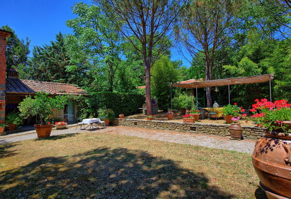Villa Elisa: Garten