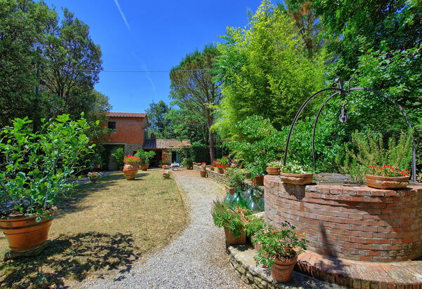 Villa Elisa: Garten