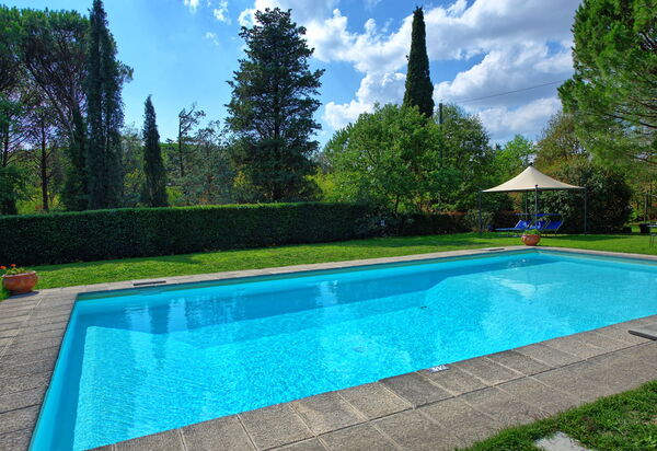 Villa Elisa: Schwimmbad