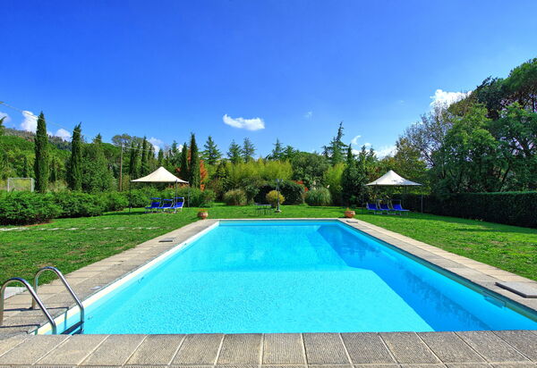 Villa Elisa: Schwimmbad