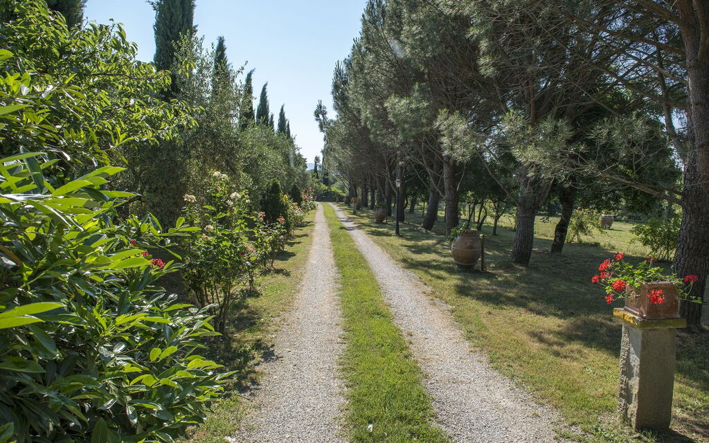 Villa Elisa: Garden