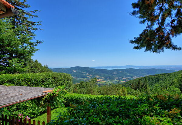 Il Salice: Visninger