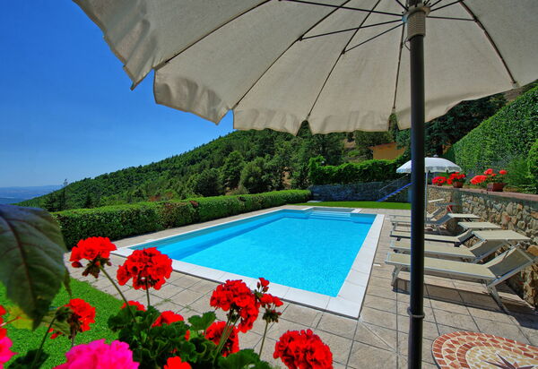 Il Salice: pool