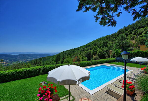 Il Salice: pool, Visninger