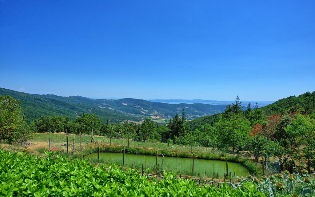 Il Salice: Scenic View