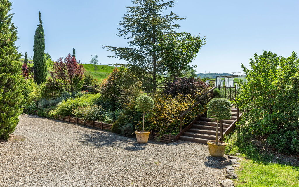 Villa Castiglione: Garden, Outdoor