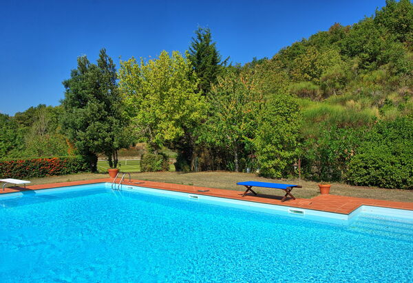 Gellino: Pool