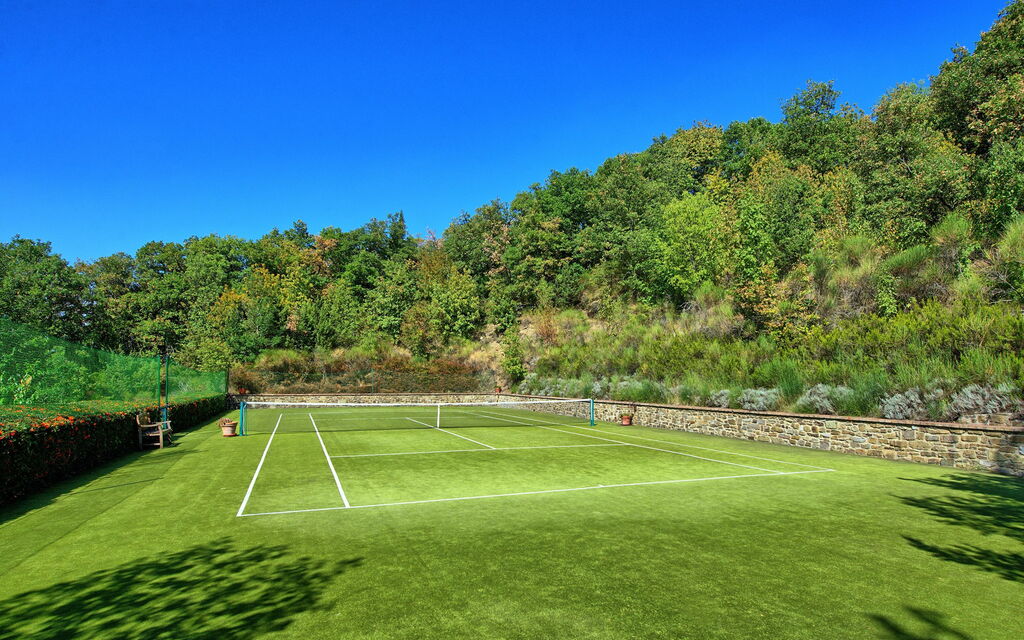 Gellino: Aktiviteter