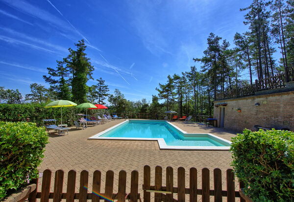 Villa Lorenzo: бассейн, Сад