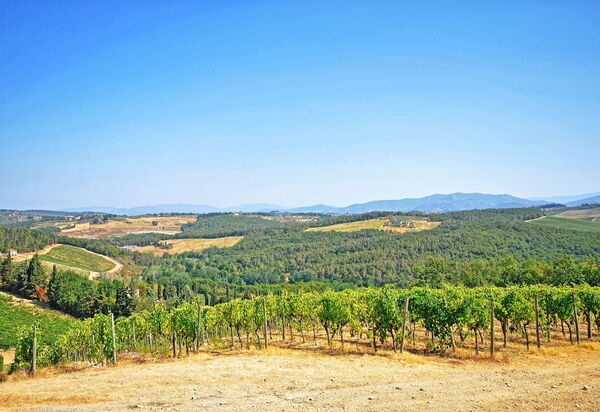 Tenuta: Взгляды