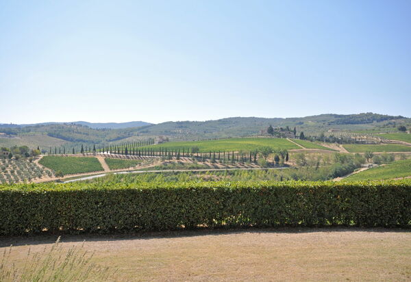 Tenuta: Взгляды