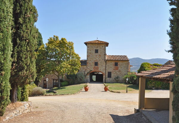 Tenuta: Взгляды