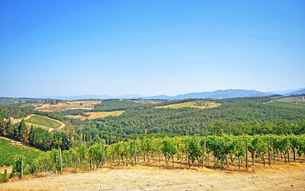 Tenuta: Vista Panoramica