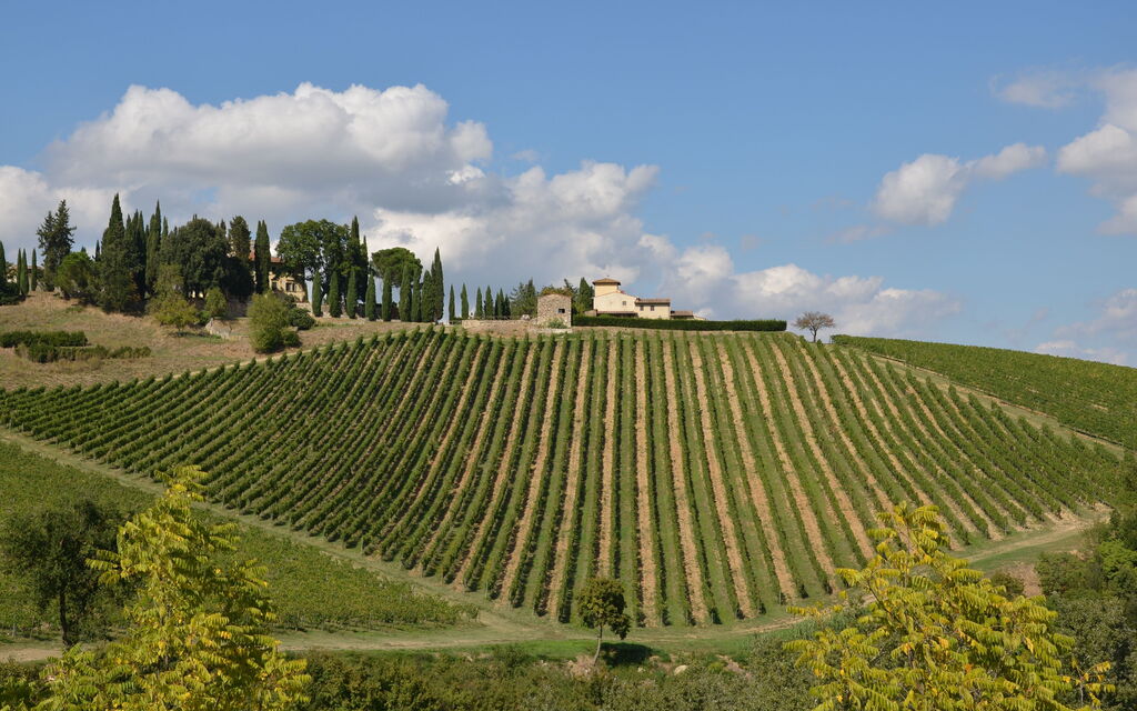 Tenuta: Vista Panoramica