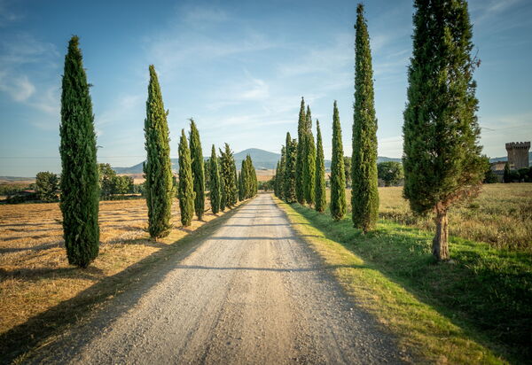 Villa Cassia: Взгляды, Открытый