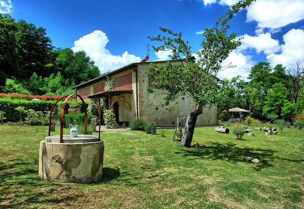 Villa Diletta: Сад