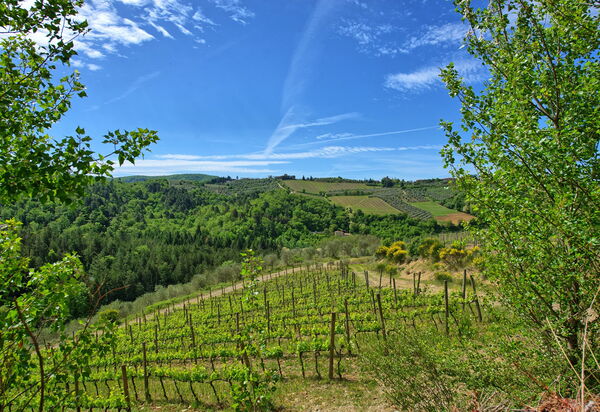 Villa Barbischio: Visninger