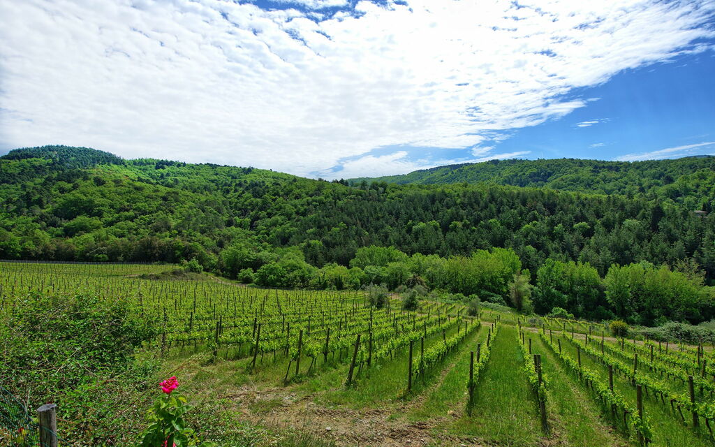 Villa Barbischio: Vues