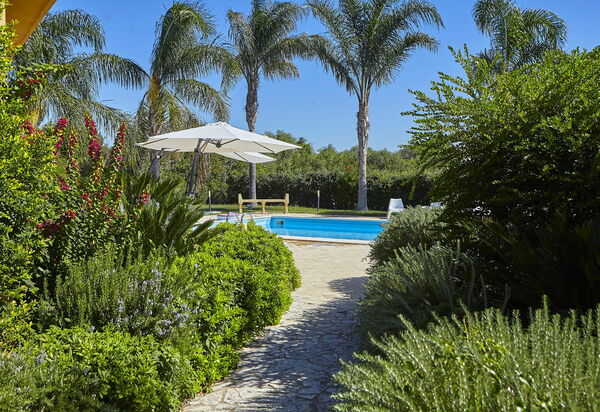 Villa Oasi: бассейн, Сад