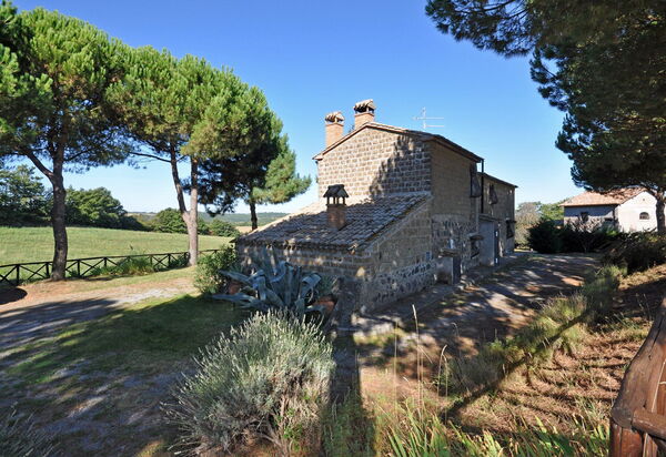 Ginestrella: Сад, Экстерьеры