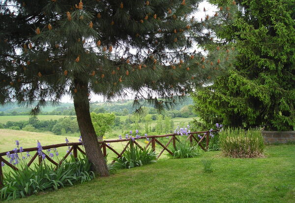 Ginestrella: Открытый, Сад