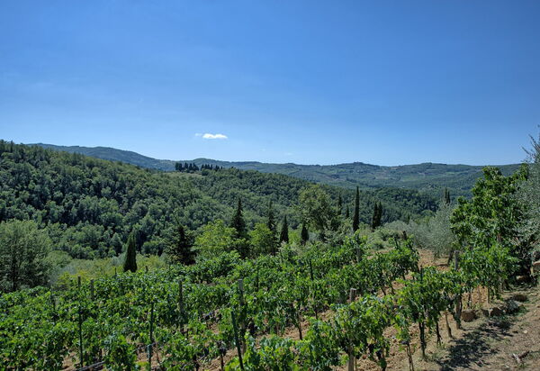 Bigiolo a Melazzano: Ansichten