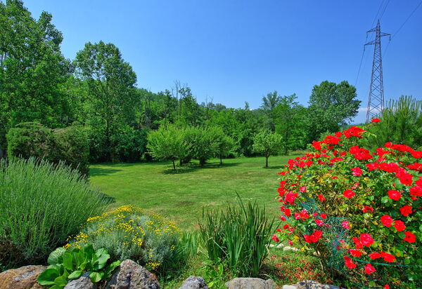 Casa Ovile: Взгляды, Сад