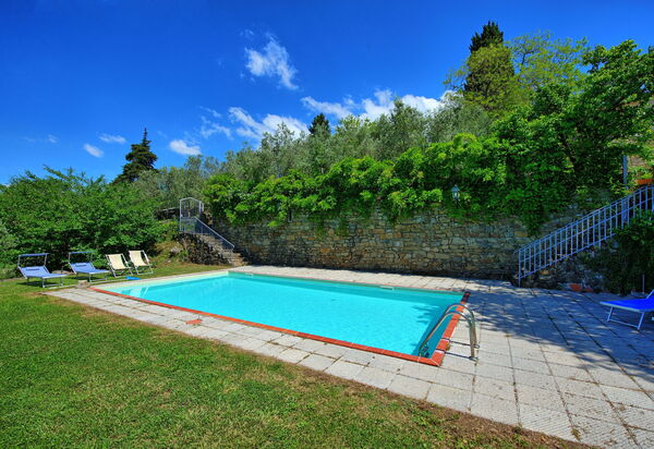 Panzalla: Garden, Pool