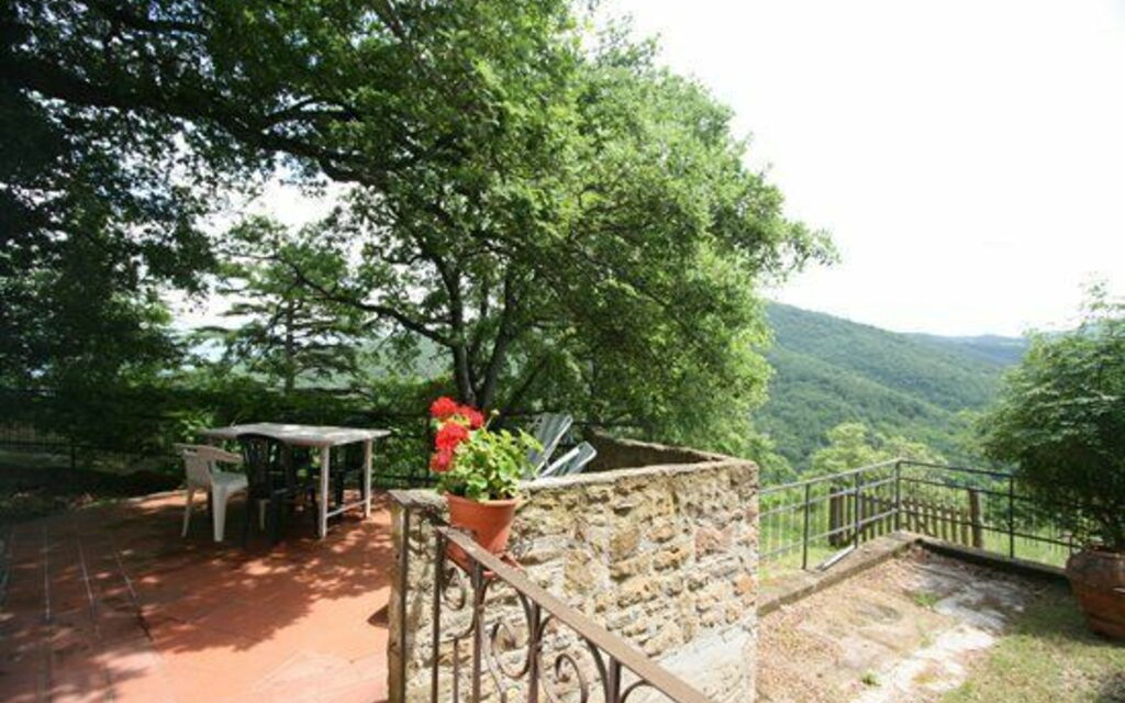 Panzalla - : Открытый