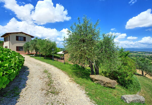 Villa Ulivi: Außen, Draussen, Garten