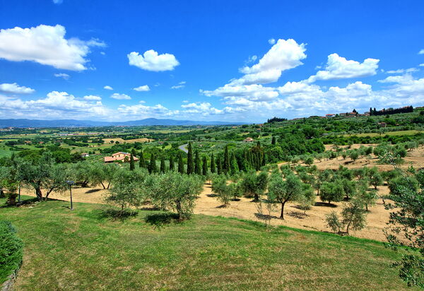 Villa Ulivi: Ansichten, Draussen, Sommer