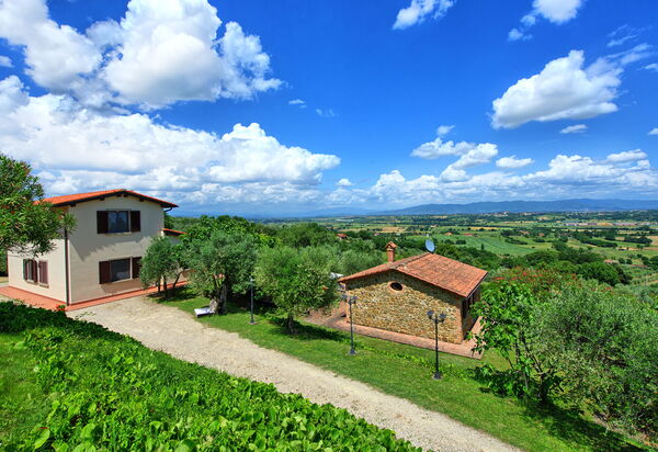 Villa Ulivi: Ansichten, Außen, Draussen, Garten, Sommer