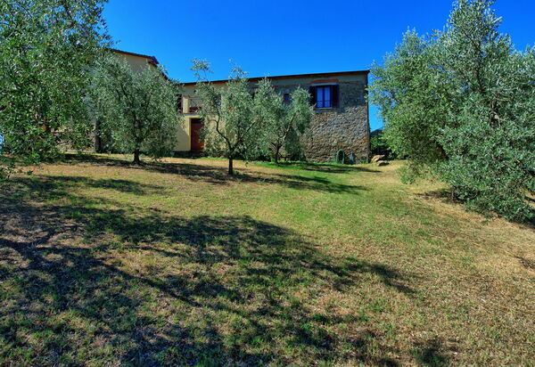 Villa Gloria: Garten