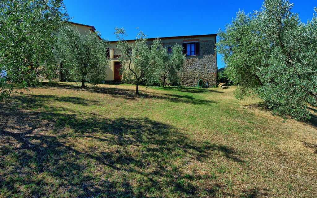 Villa Gloria: Garden