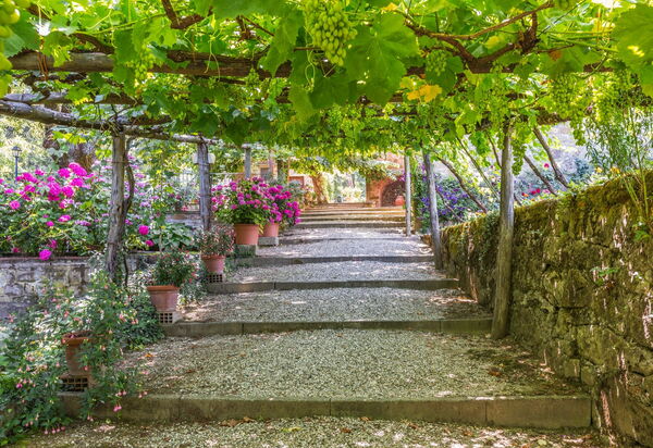 Palazzo Rosadi: Сад