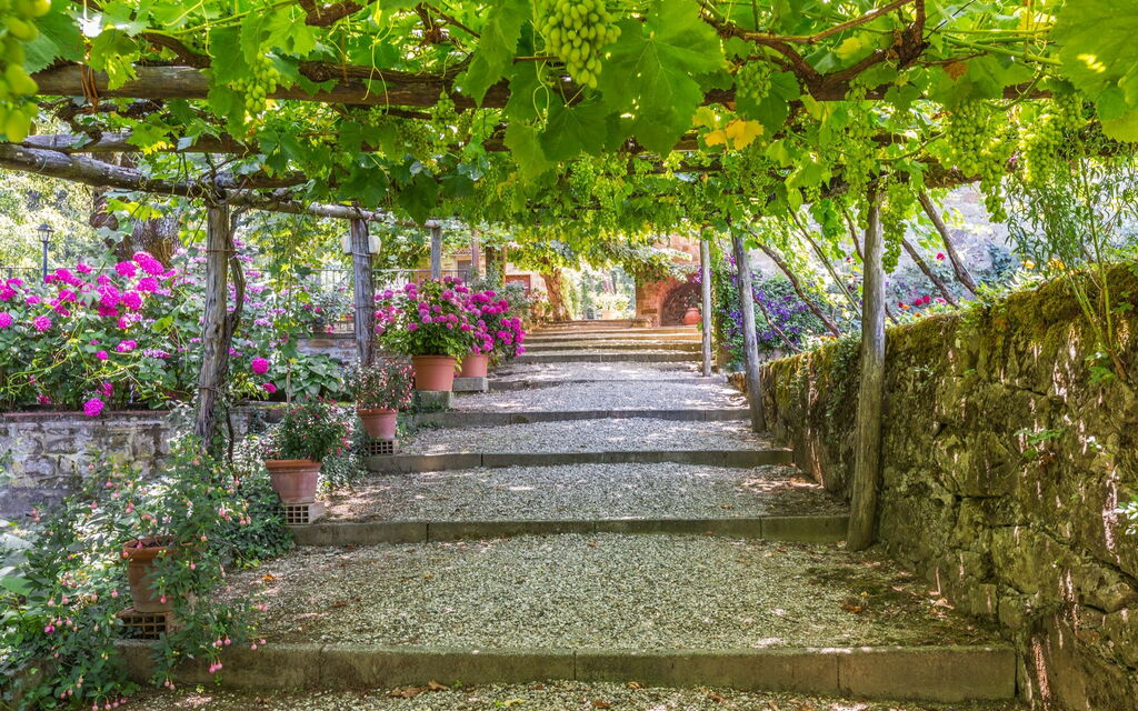 Palazzo Rosadi: Garden