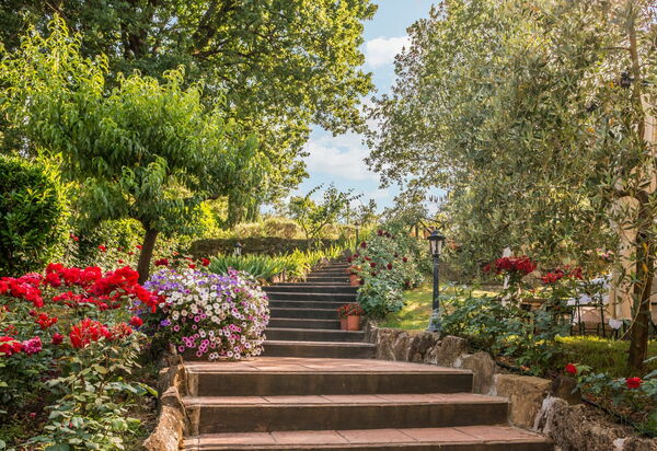 Torre Del Cielo: Сад