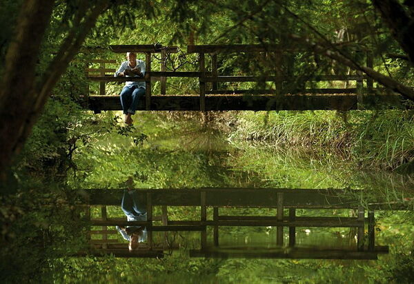 Ca' Marcello: The centuries-old park around the house (18 acres - 9 hectars) is rich in ancient plants and trees and offers hidden corners for relax and sunset walks.