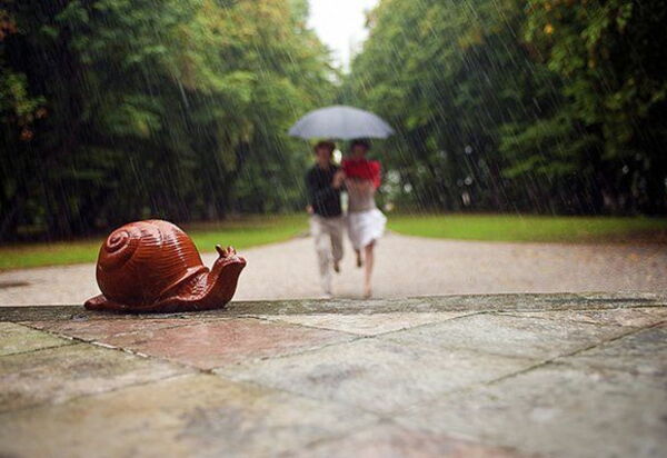 Ca' Marcello: Garden, Outdoor