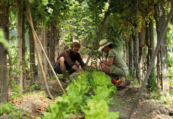 Ca' Marcello: More than 15 different kinds of vegetables and herbs can be picked daily from your private kitchen garden!