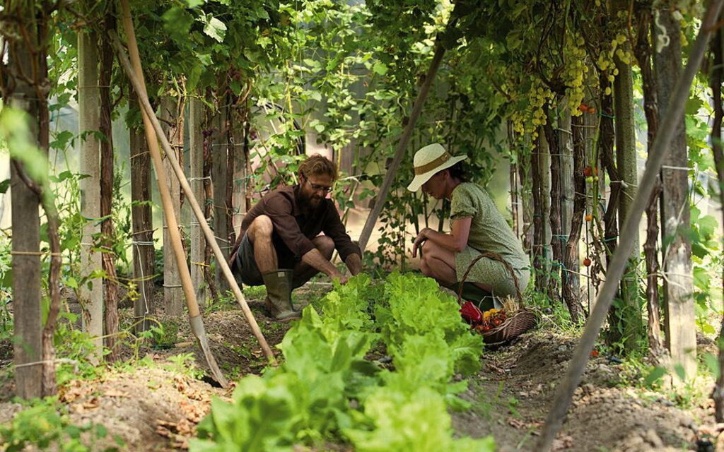 Ca' Marcello: More than 15 different kinds of vegetables and herbs can be picked daily from your private kitchen garden!
