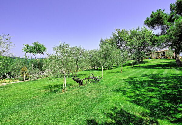 Villa Poggetta: Сад