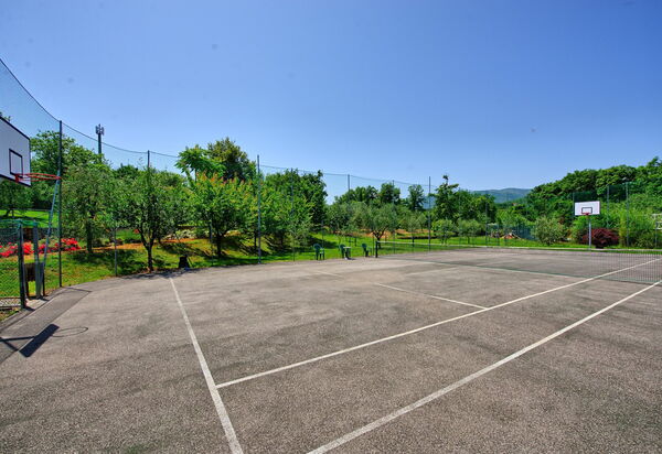 Villa Poggetta: Деятельность