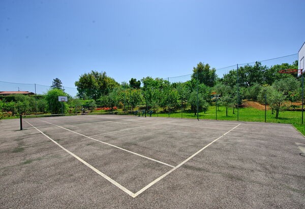 Villa Poggetta: Деятельность