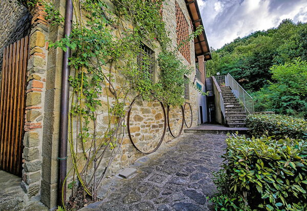 Villa Il Nido: Draussen, Garten