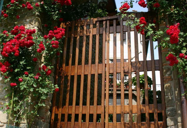 Il Palazzetto: Particular view of Residenza Il Palazzetto