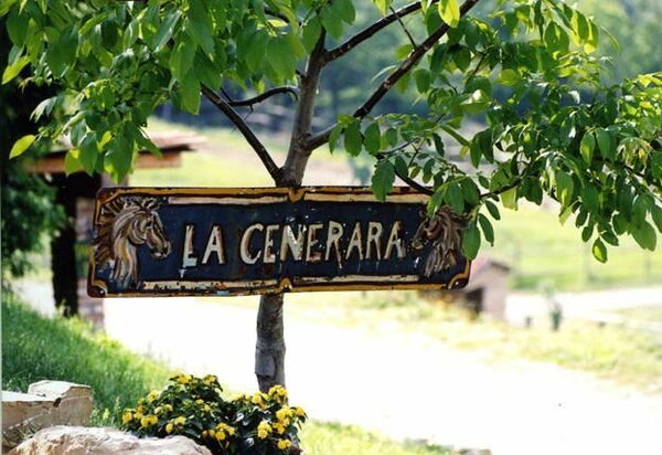 La Cenerara