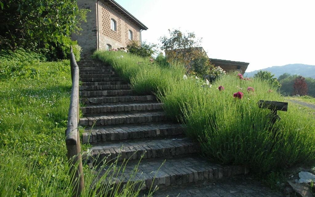 La Cenerara