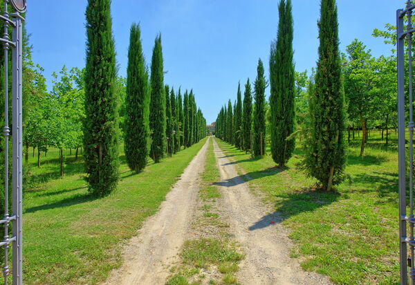 Villa Giare: Взгляды